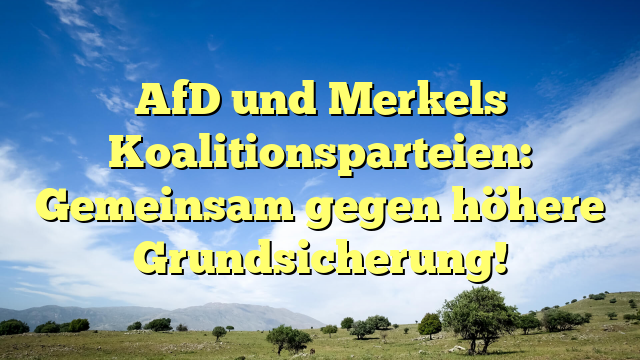 AfD und Merkels Koalitionsparteien: Gemeinsam gegen höhere Grundsicherung!