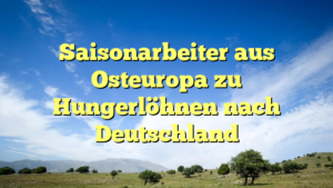 Saisonarbeiter aus Osteuropa zu Hungerlöhnen nach Deutschland