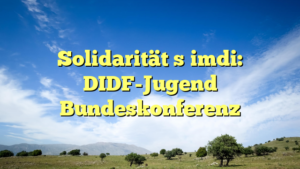 Solidarität şimdi: DIDF-Jugend Bundeskonferenz