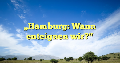 „Hamburg: Wann enteignen wir?“