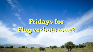 Fridays for Flugverbotszone?