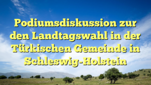 Podiumsdiskussion zur den Landtagswahl in der Türkischen Gemeinde in Schleswig-Holstein