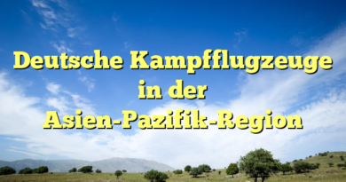 Deutsche Kampfflugzeuge in der Asien-Pazifik-Region