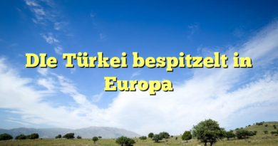 DIe Türkei bespitzelt in Europa