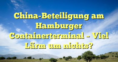 China-Beteiligung am Hamburger Containerterminal – Viel Lärm um nichts?
