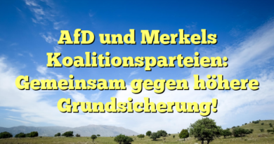 AfD und Merkels Koalitionsparteien: Gemeinsam gegen höhere Grundsicherung!