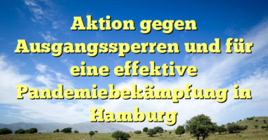 Aktion gegen Ausgangssperren und für eine effektive Pandemiebekämpfung in Hamburg